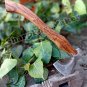 Damascus Steel Knife Custom Handmade - 20.00" inches High Carbon steel hatchet etched blade