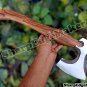 Damascus Steel Knife Custom Handmade - 20.00" inches High Carbon steel hatchet etched blade