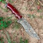 Custom handmade Damascus steel knives Pair of 02 hunting knifes/camping/hunting