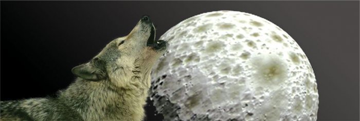 under the garden moon patriotic under the garden moon patriotic