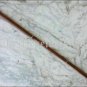 Solid Brass Lion head Handle Vintage Designer Wooden Walking Stick Cane Antique