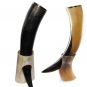Set of 2 Game of Thrones Viking Drinking Horn Mug For Beer Water Father Day Gift