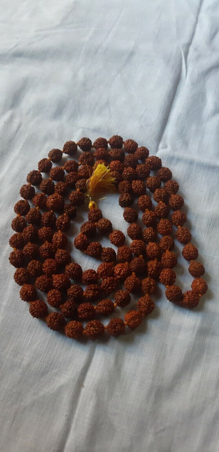 Unisex Handmade Vintage Tibetan 6 Face (Mukhi) Radraksha and Skull Mala Necklace No22
