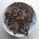 Kacip Fatimah dried Leaves Labisia Pumila,improves female Libido
