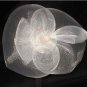 Vintage Ivory Fascinator on a Comb