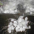 lot of 8  White Silk Flower Sprays with Beads