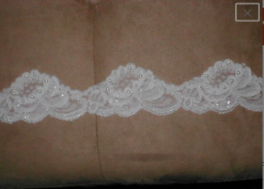 Ivory color Beaded Alencon Lace Border Trim