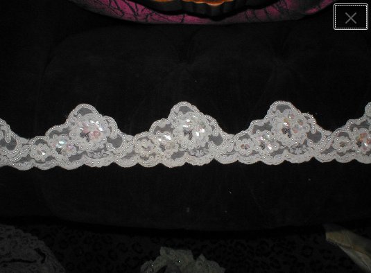 Heavily Beaded IVORY Alencon Lace Trim