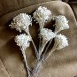 Floral Supplies - Artificial Flower Stamens - Porcelain Peps