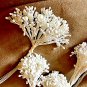 Floral Supplies - Artificial Flower Stamens - Porcelain Peps