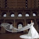 The Bride Wedding Veil   Headdress Accessories  3 Meters Long White Lace Veil