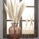 Reed dried Fower Home Decoration