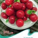 20 Seeds Original Pack Hot Chilli Sweet Pepper