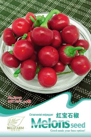 20 Seeds Original Pack Hot Chilli Sweet Pepper