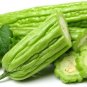 12 Seeds Green Bitter Gourd Seed Bitter Melon Balsam Pear Organic Vegetables