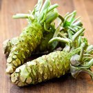 400 Seeds of Wasabi