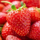 100 Seeds Super Giant Red Strawberry Fruit