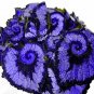 100 Seeds Begonia Flower Bonsai