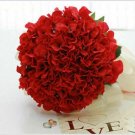 15 Seeds Rare Red Hydrangea Mother