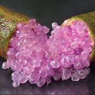 10 Seeds Imported Rose Pink Bliss Finger Lime Plant