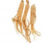 10 Seeds Chinese / korean Panax Ginseng