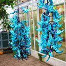 10 Seeds Rare Endangered Jade Vine 'Strongylodon Macrobotrys' Flower Bonsai Fragrant Perennial Blue