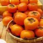 20 Seeds Rare Persimmon Seed Organic Non-GMO Juicy Succulent fruit trees