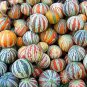 10 seeds Rare Kajari Sweet Melon Fruit