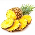100 Seeds Pineapple