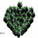100 Seeds Rare Heirloom Super Black Strawberry Organic