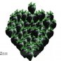 100 Seeds Rare Heirloom Super Black Strawberry Organic