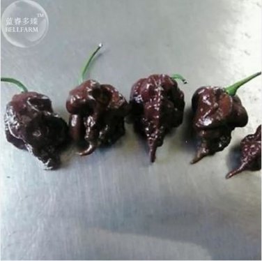 10 Seeds Pepper Hot Black Carolina Reaper Chili