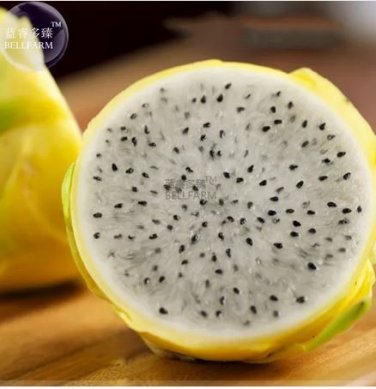 30 Seeds Rare Large Yellow Dragon Fruit Pitaya Organic