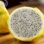 30 Seeds Rare Large Yellow Dragon Fruit Pitaya Organic