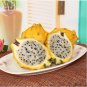 30 Seeds Rare Large Yellow Dragon Fruit Pitaya Organic