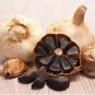 100 Seeds Black Garlic Organic Heirloom Vegetables Home Gardening Planting