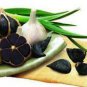 100 Seeds Black Garlic Organic Heirloom Vegetables Home Gardening Planting