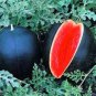 20 Seeds Giant Sweet Black Watermelon