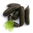 20 Seeds Finger Limes Black Skin Green Inside Fruit Seeds Organic Juicy