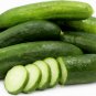 20 Seeds Fruits Cucumber Vegetables