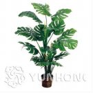 100 seeds Philodendron Bonsai, Vine Leaf, Indoor Plants Anti Radiation Absorb dust Tree Bonsai