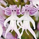 100 Seeds Rare Human Face Orchid Perennial Plant Flowers
