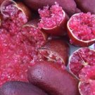 10 seeds Imported Rose Red Finger Lime Pomegrante Plant