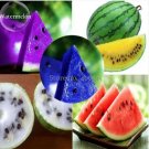 20 seeds Rare Mixed Purple Yellow Red White Blue Watermelon Fruits