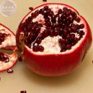 20 Seeds Giant Pomegranate