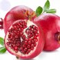 20 Seeds Giant Pomegranate