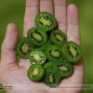 30 Seeds Cocktail Miniature Kiwi Kiwiberry Berry Hardy Actinidia Arguta Fruit