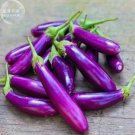 100 Seeds Eggplant Bright Purple Long Vegetables