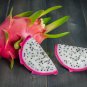 100 Seeds Organic Dwarf Pitaya Dragon Fruit Mixed Yellow Red White Colors