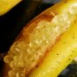 10 Seeds Yellow Finger Lime Pomegrante Plant